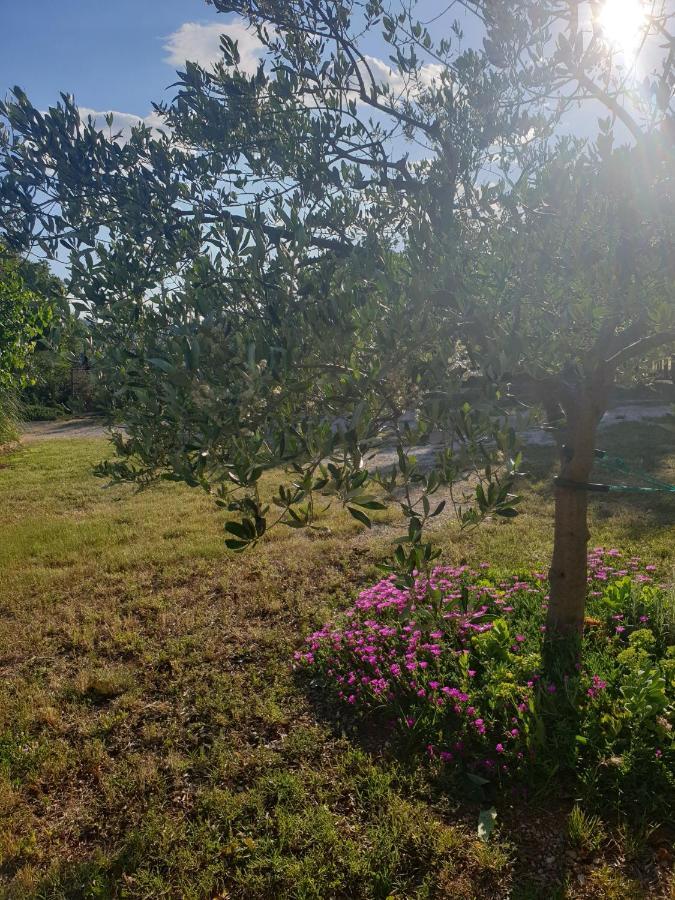 Apartmani Goga Seline Exterior foto